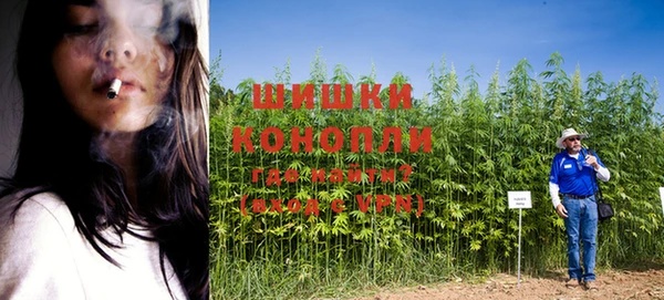 ГАЛЛЮЦИНОГЕННЫЕ ГРИБЫ Лабытнанги