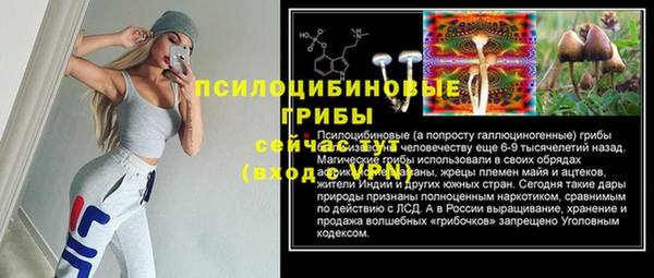 герыч Ладушкин
